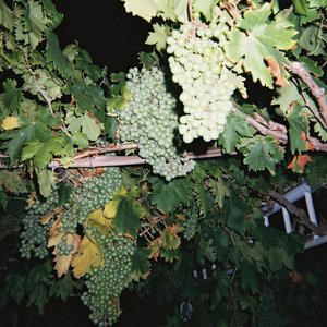 操到失禁在线观看
